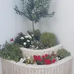 Adriatic Sea View Appartement